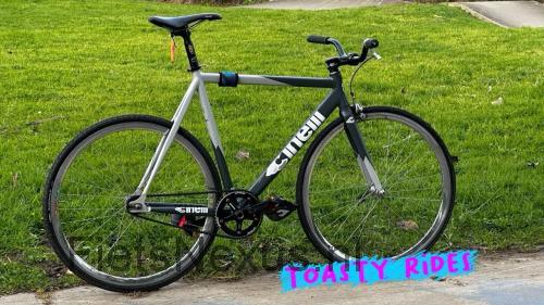 Cinelli Mash Bolt specificaties 